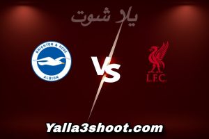 مباراة ليفربول و برايتون اليوم 2025-12-13 في الدوري الإنجليزي yalla shoot